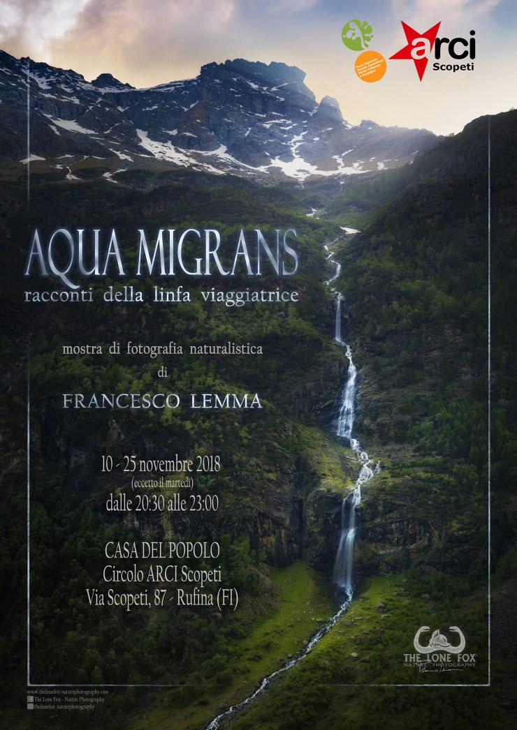 locandina mostra pubblicità rufina small